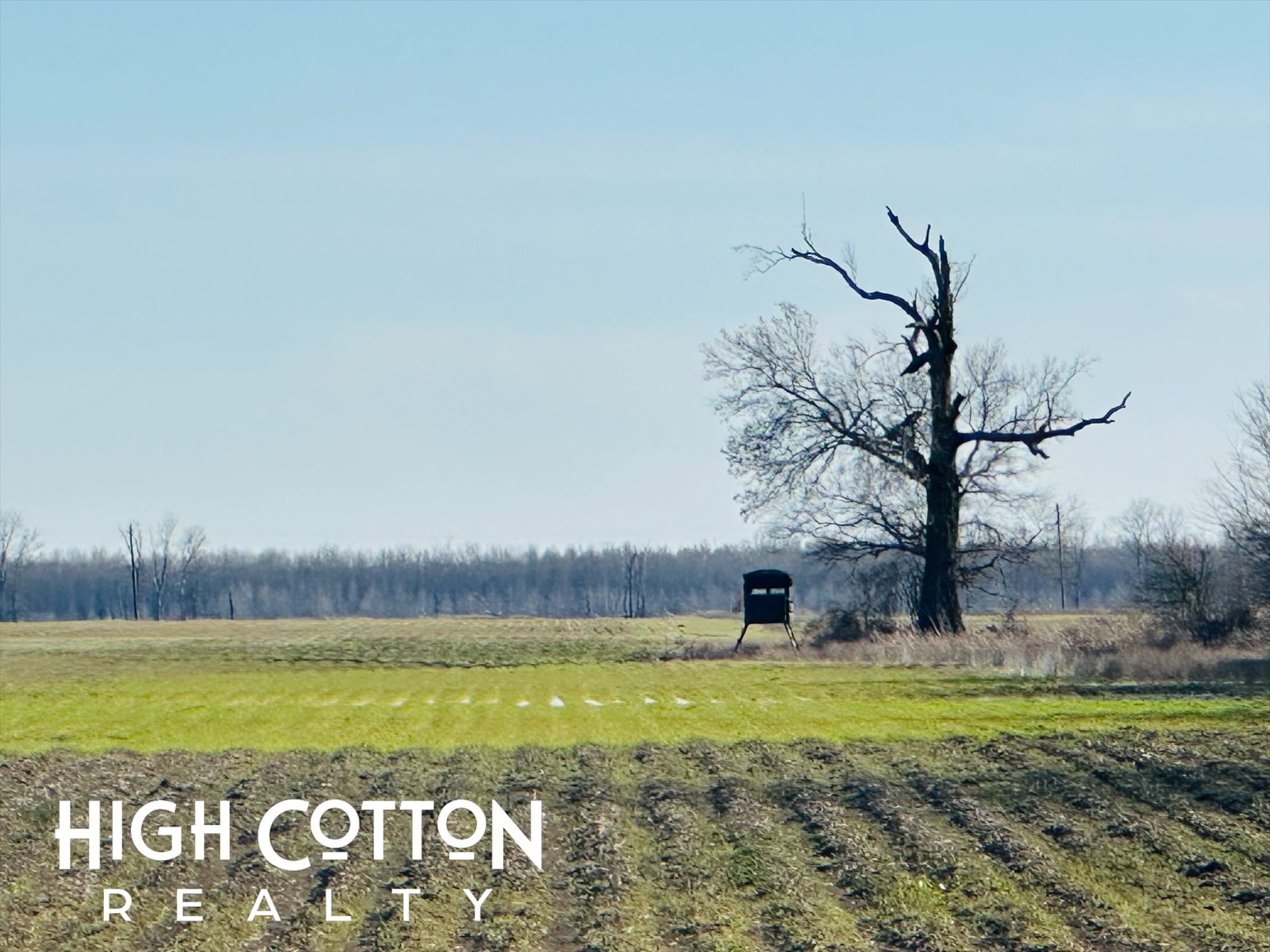 Issaquena Co. Farm/Rec Tract